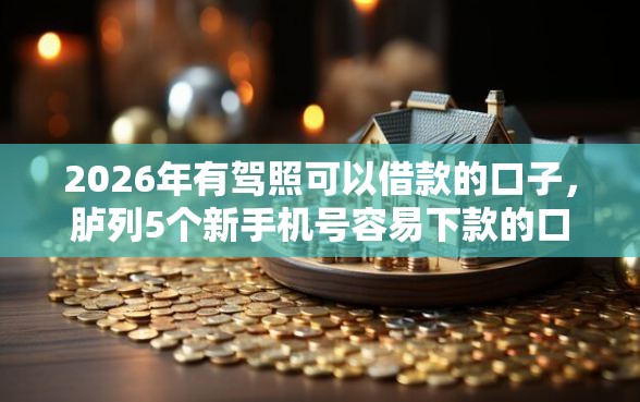 2026年有驾照可以借款的口子，胪列5个新手机号容易下款的口子