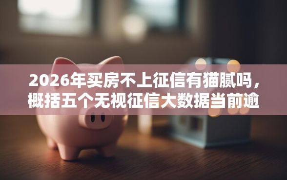 2026年买房不上征信有猫腻吗，概括五个无视征信大数据当前逾期下款的口子