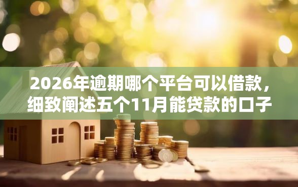 2026年逾期哪个平台可以借款，细致阐述五个11月能贷款的口子