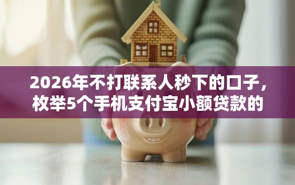 2026年不打联系人秒下的口子，枚举5个手机支付宝小额贷款的软件