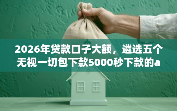 2026年贷款口子大额，遴选五个无视一切包下款5000秒下款的app