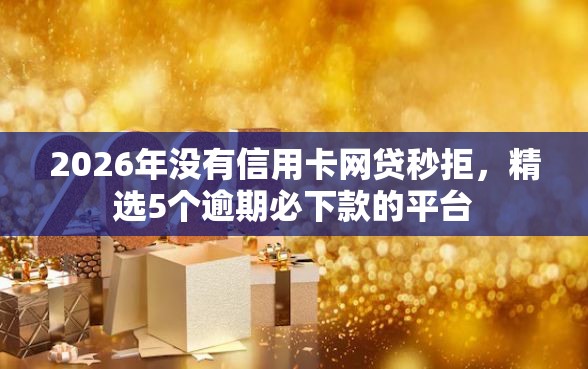2026年没有信用卡网贷秒拒，精选5个逾期必下款的平台
