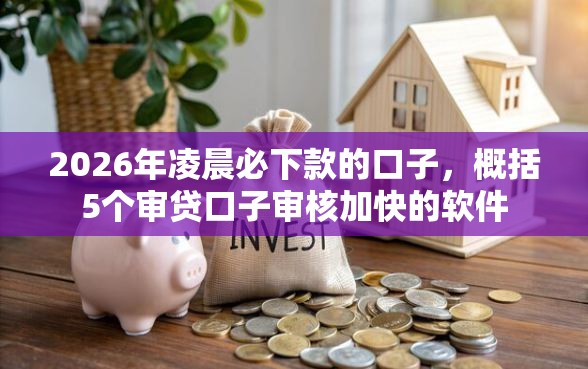 2026年凌晨必下款的口子，概括5个审贷口子审核加快的软件