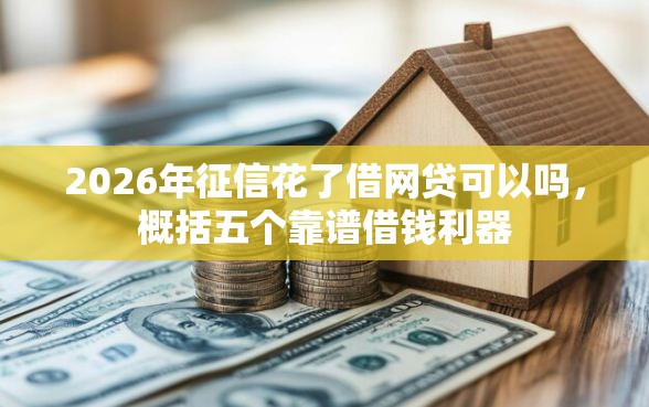 2026年征信花了借网贷可以吗，概括五个靠谱借钱利器