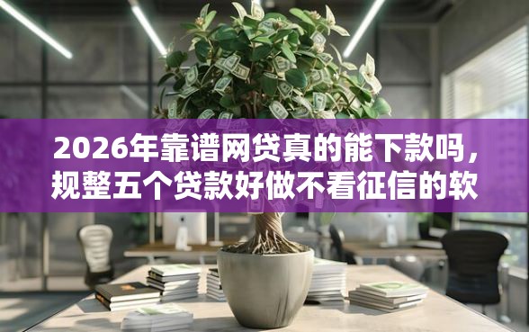 2026年靠谱网贷真的能下款吗，规整五个贷款好做不看征信的软件