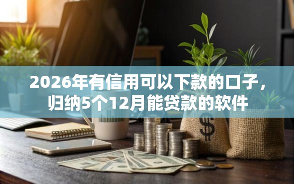 2026年有信用可以下款的口子，归纳5个12月能贷款的软件