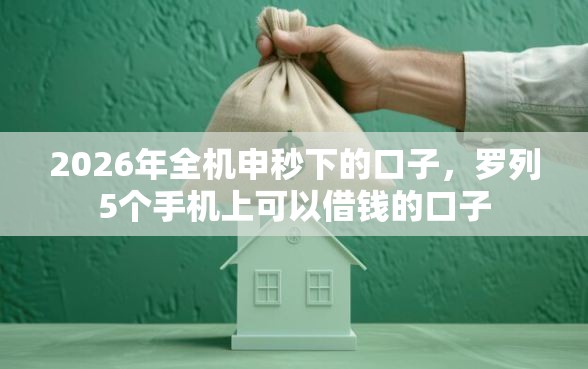 2026年全机申秒下的口子，罗列5个手机上可以借钱的口子