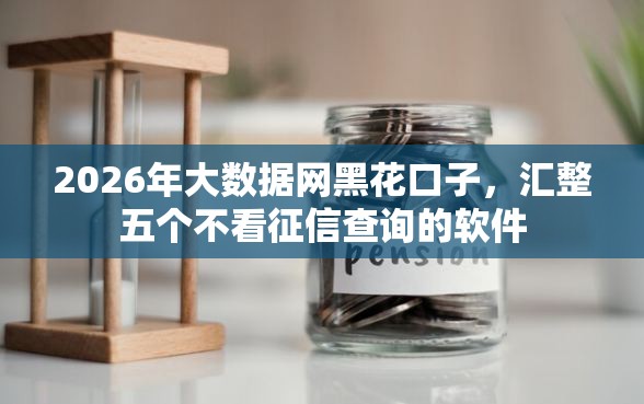 2026年大数据网黑花口子，汇整五个不看征信查询的软件
