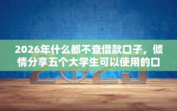 2026年什么都不查借款口子，倾情分享五个大学生可以使用的口子