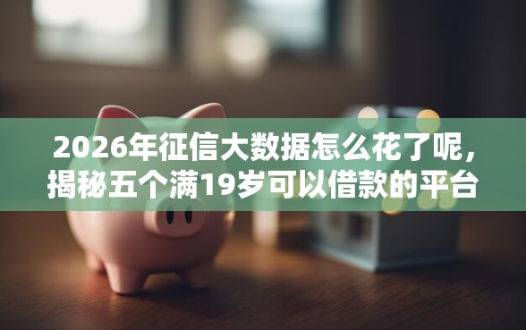 2026年征信大数据怎么花了呢，揭秘五个满19岁可以借款的平台