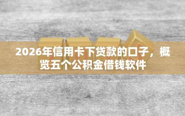 2026年信用卡下贷款的口子，概览五个公积金借钱软件