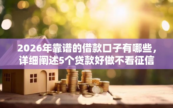 2026年靠谱的借款口子有哪些，详细阐述5个贷款好做不看征信的口子