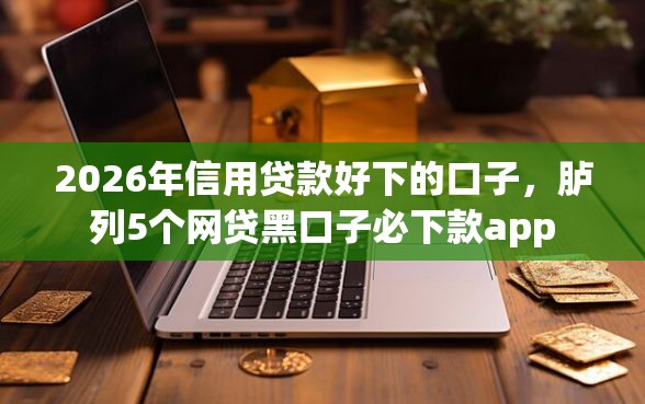 2026年信用贷款好下的口子，胪列5个网贷黑口子必下款app