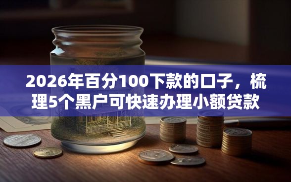 2026年百分100下款的口子，梳理5个黑户可快速办理小额贷款业务的口子