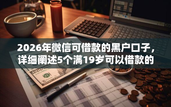 2026年微信可借款的黑户口子，详细阐述5个满19岁可以借款的平台