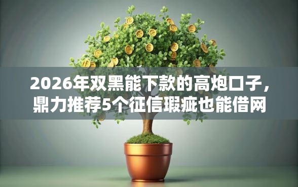 2026年双黑能下款的高炮口子，鼎力推荐5个征信瑕疵也能借网贷轻松下款的软件