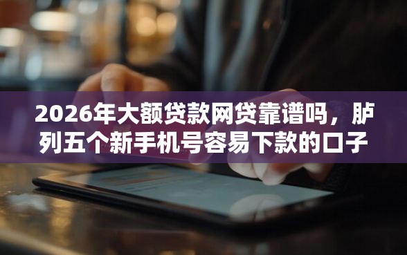 2026年大额贷款网贷靠谱吗，胪列五个新手机号容易下款的口子