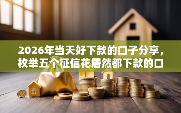 2026年当天好下款的口子分享，枚举五个征信花居然都下款的口子