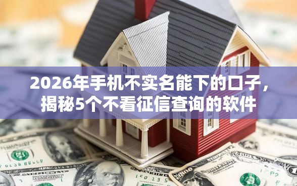 2026年手机不实名能下的口子，揭秘5个不看征信查询的软件