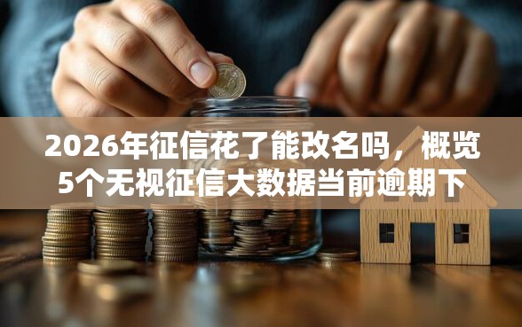 2026年征信花了能改名吗，概览5个无视征信大数据当前逾期下款的口子
