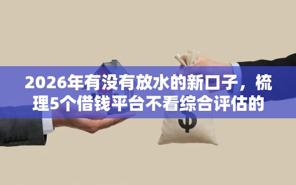 2026年有没有放水的新口子，梳理5个借钱平台不看综合评估的软件