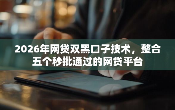 2026年网贷双黑口子技术，整合五个秒批通过的网贷平台