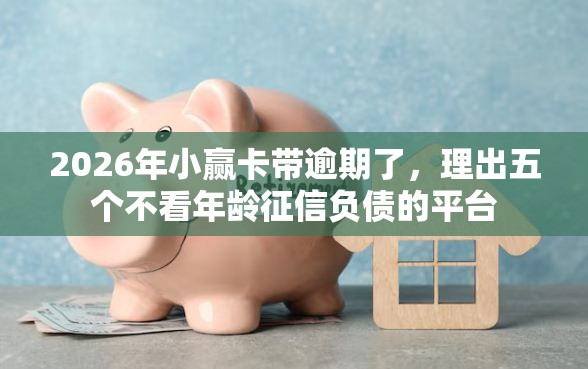 2026年小赢卡带逾期了，理出五个不看年龄征信负债的平台
