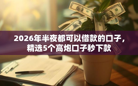 2026年半夜都可以借款的口子，精选5个高炮口子秒下款
