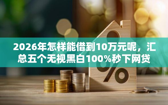 2026年怎样能借到10万元呢，汇总五个无视黑白100%秒下网贷口子