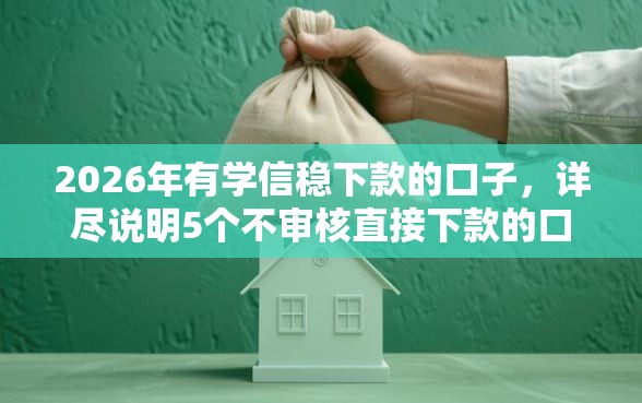 2026年有学信稳下款的口子，详尽说明5个不审核直接下款的口子