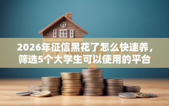 2026年征信黑花了怎么快速养，筛选5个大学生可以使用的平台