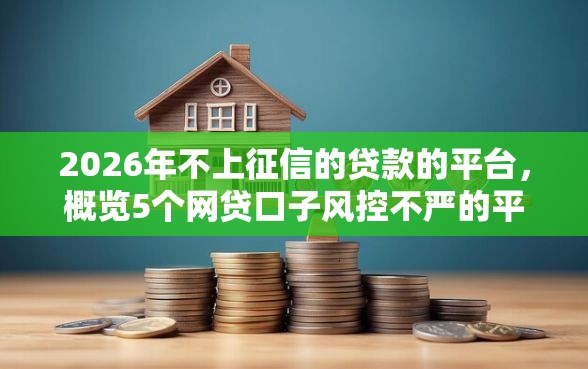 2026年不上征信的贷款的平台，概览5个网贷口子风控不严的平台