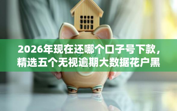 2026年现在还哪个口子号下款，精选五个无视逾期大数据花户黑户app