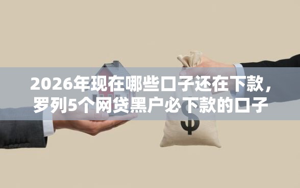 2026年现在哪些口子还在下款，罗列5个网贷黑户必下款的口子