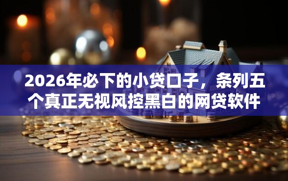 2026年必下的小贷口子，条列五个真正无视风控黑白的网贷软件