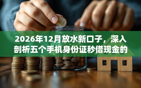 2026年12月放水新口子，深入剖析五个手机身份证秒借现金的app