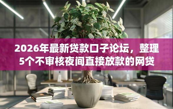 2026年最新贷款口子论坛，整理5个不审核夜间直接放款的网贷app