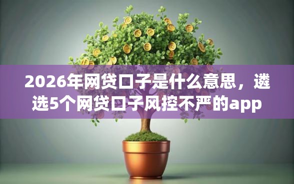 2026年网贷口子是什么意思，遴选5个网贷口子风控不严的app
