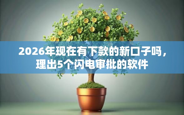 2026年现在有下款的新口子吗，理出5个闪电审批的软件