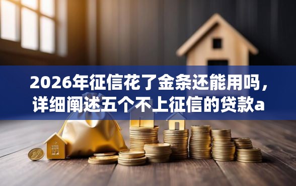 2026年征信花了金条还能用吗，详细阐述五个不上征信的贷款app