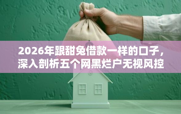 2026年跟甜兔借款一样的口子，深入剖析五个网黑烂户无视风控口子