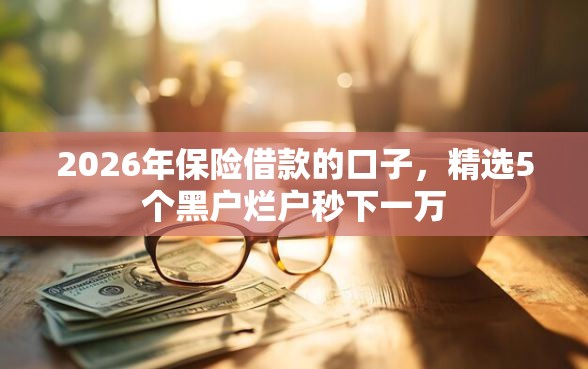 2026年保险借款的口子，精选5个黑户烂户秒下一万