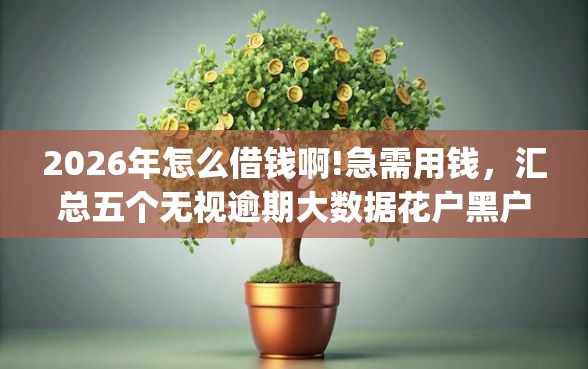 2026年怎么借钱啊!急需用钱，汇总五个无视逾期大数据花户黑户app