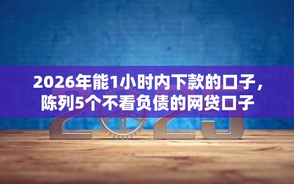 2026年能1小时内下款的口子，陈列5个不看负债的网贷口子