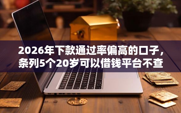 2026年下款通过率偏高的口子，条列5个20岁可以借钱平台不查征信的软件