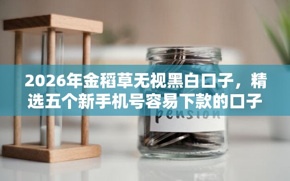 2026年金稻草无视黑白口子,精选五个新手机号容易下款的口子 2026年金稻草无视黑白口子,精选五个新手机号容易下款的口子