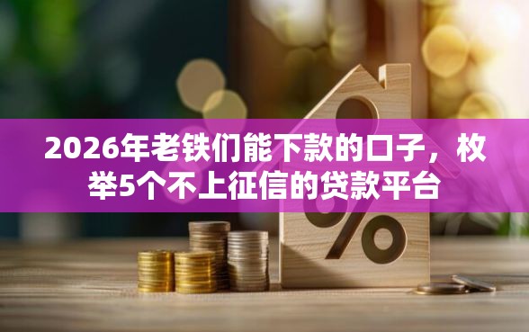 2026年老铁们能下款的口子，枚举5个不上征信的贷款平台
