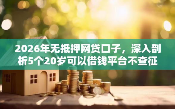 2026年无抵押网贷口子，深入剖析5个20岁可以借钱平台不查征信的平台