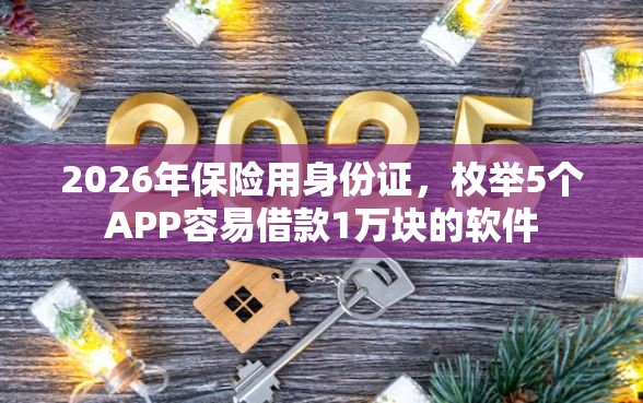 2026年保险用身份证，枚举5个APP容易借款1万块的软件