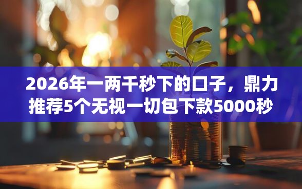 2026年一两千秒下的口子，鼎力推荐5个无视一切包下款5000秒下款的app